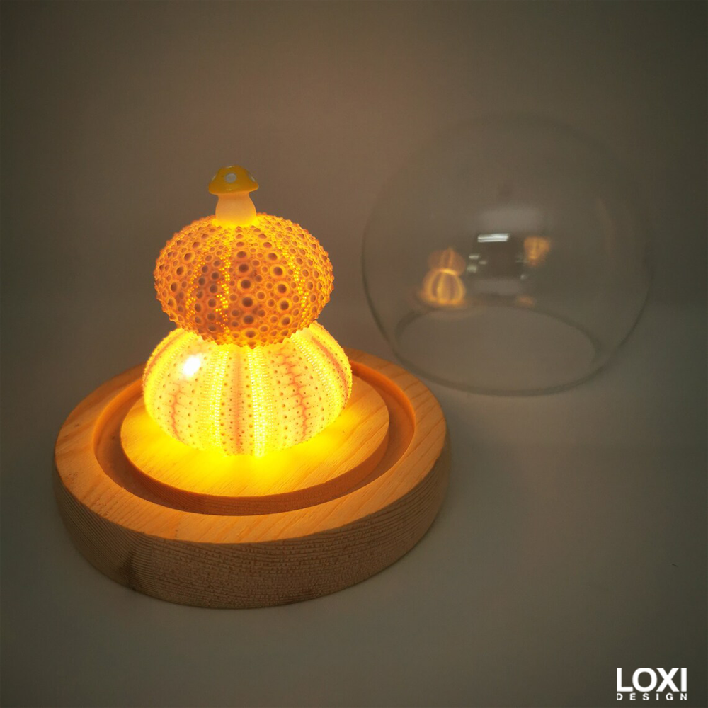 Loxi Design™ Sea Urchin Mushroom lamp